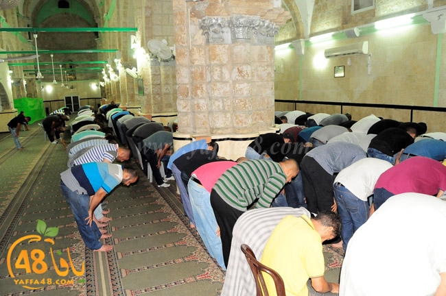 trawe7 ramla kaber (6).JPG